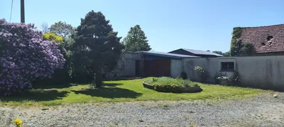 printemps de conifères de jardin